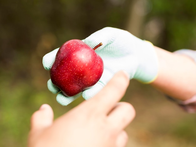 Free photo woman passing an apple to someone