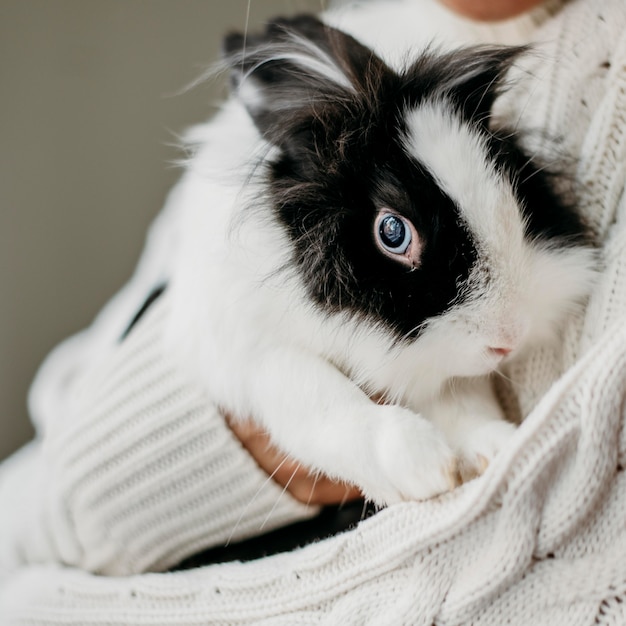 Free photo woman petting adorable rabbit