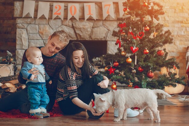 그녀의 남편이 크리스마스에 그녀의 팔에 아기를 보유하고있는 동안 개를 쓰다 듬는 여자