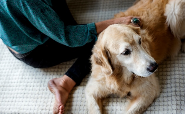 Foto gratuita donna petting goldent retriever dog