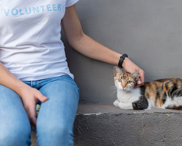 女性ふれあい救助猫