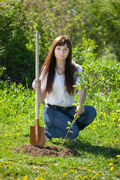 woman planting  tree