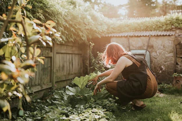 작은 집 정원에서 야채를 재배하는 여자