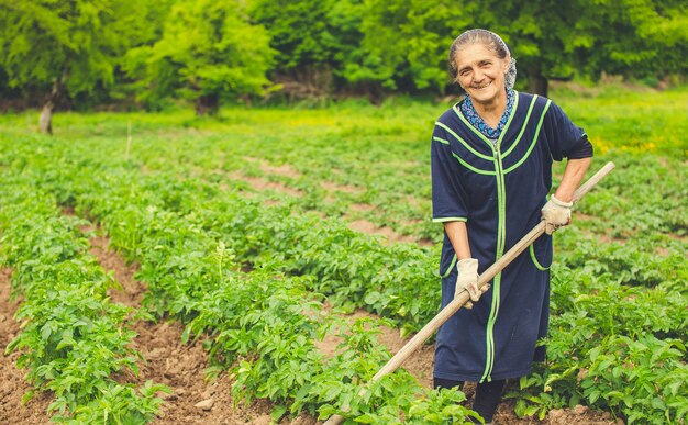 Woman planting vegetables and smiling in the farm with equipments. 