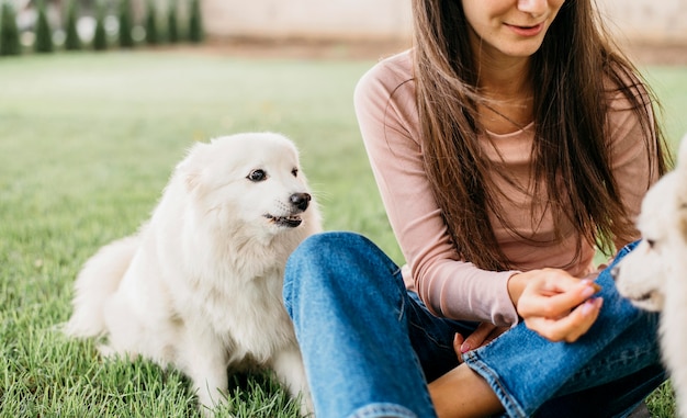 Foto gratuita donna che gioca con cani carini