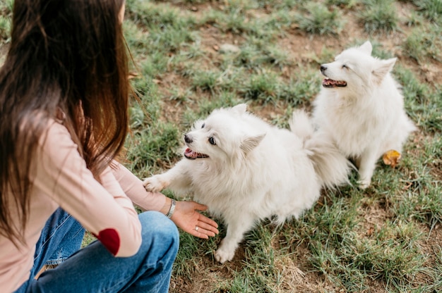 Woman playing with cute dogs