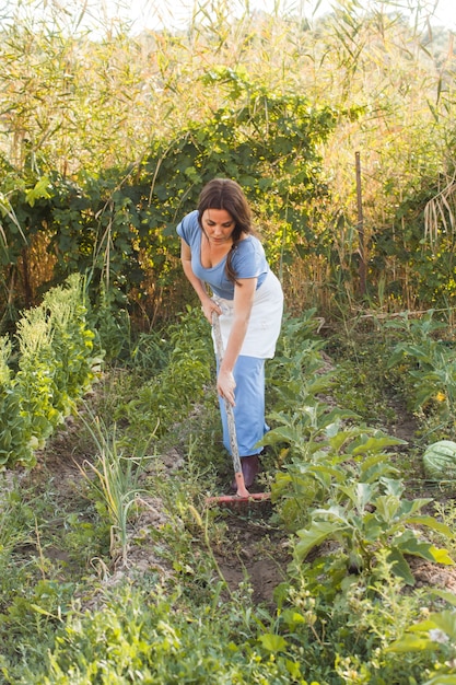 Woman racking soil in the field
