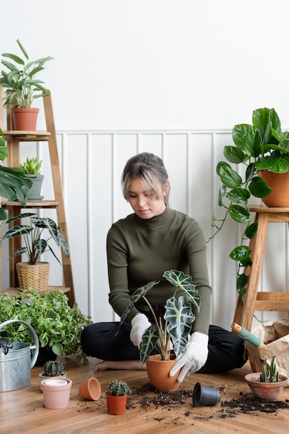 彼女の家の中で観葉植物を植え替える女性