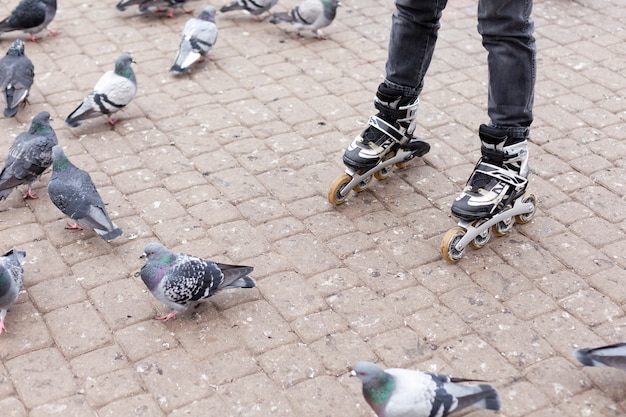 Woman rollerblading through pigeons