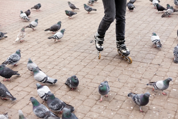 Free photo woman rollerblading with pigeonss