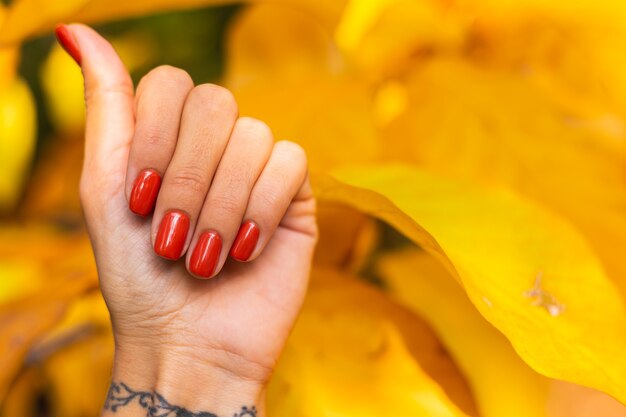 Woman's hand with orange manicure