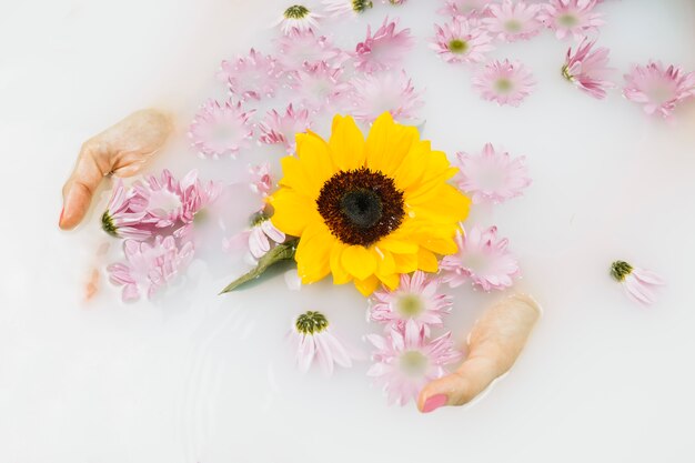 Woman's hand with yellow and pink flowers in clear white water