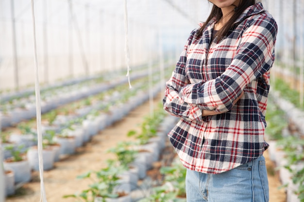Free photo woman science assistant, agricultural officer. in greenhouse farm research melon