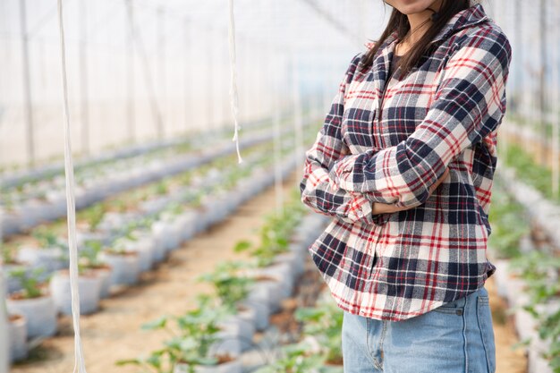 Woman science Assistant, Agricultural Officer. in greenhouse farm research melon 