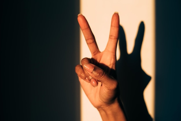 Foto gratuita mani della siluetta dell'ombra della donna che fanno i gesti