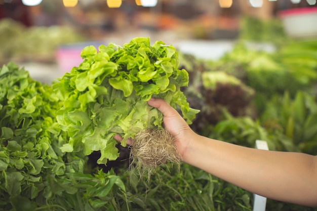 женщина покупает органические овощи