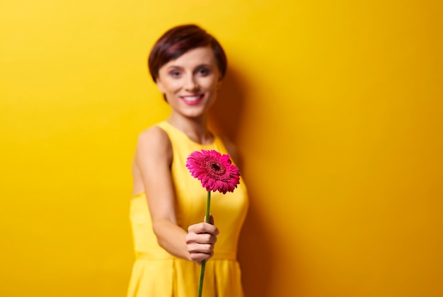 Woman showing pink gerbera daisy
