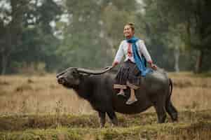 Free photo woman sitting on the back of a buffalo in the meadow.