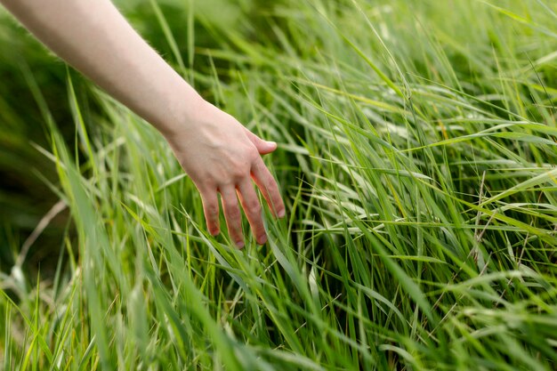 自然の中で草を介して手をスライドする女性