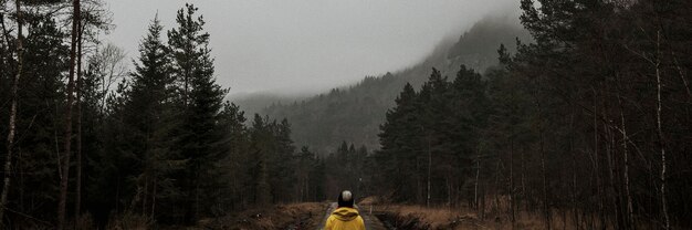 Woman standing in a misty forest