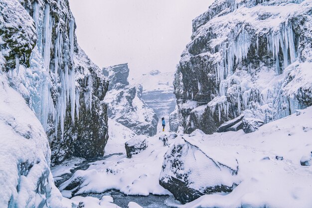 雪に覆われた崖の上に立っている女性