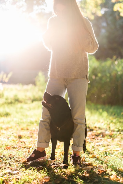 Woman standing with labrador in sunlight at park