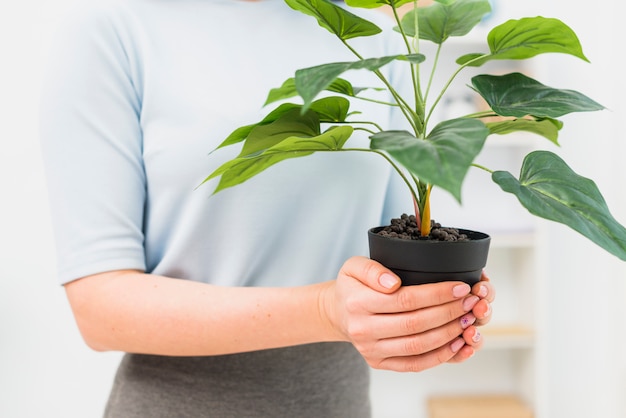 Free photo woman standing with plant in flower pot