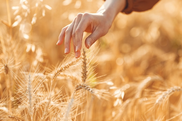 Free photo woman in a summer field. brunette in a brown sweater.