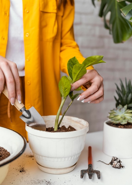 彼女の家の庭で彼女の植物の世話をしている女性