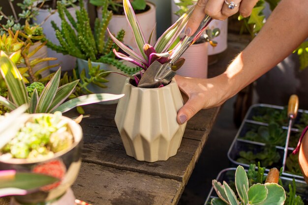 彼女の植物の世話をする女性