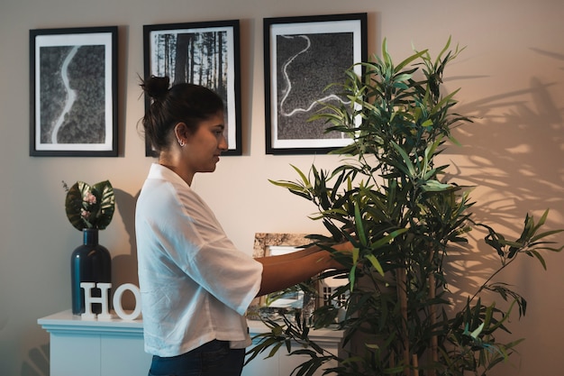 無料写真 家の植物の世話をする女性