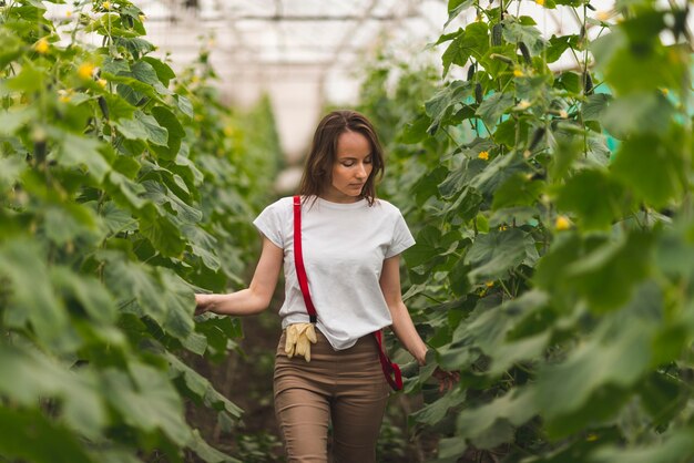 Woman taking care of plants in a greenhouse