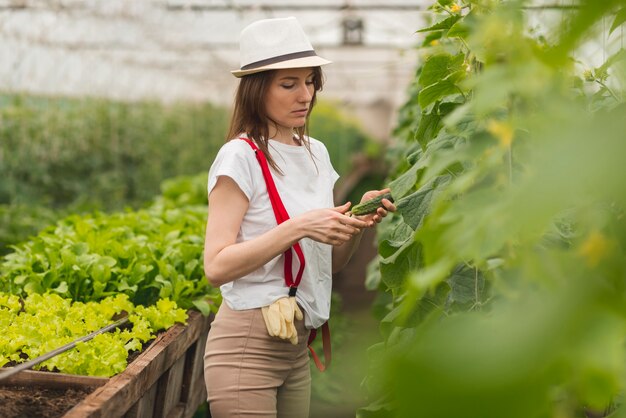 温室の植物の世話をする女性