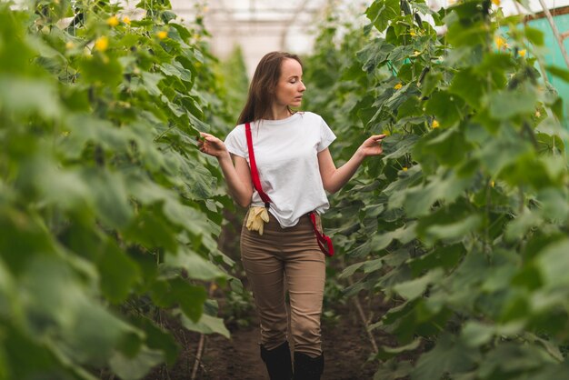 温室の植物の世話をする女性