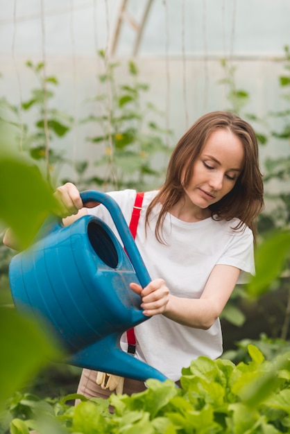 温室の植物の世話をする女性