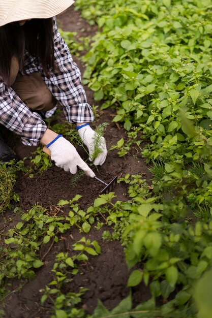 植物の世話をする女性のハイアングル