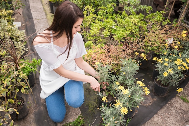 Free photo woman taking care of yellow flowers potted plant