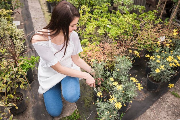 Woman taking care of yellow flowers potted plant