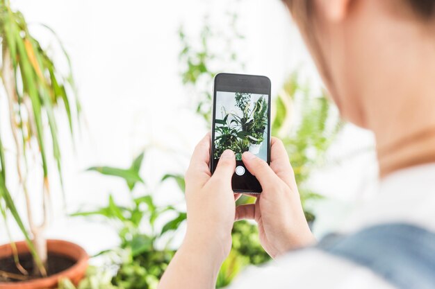 Woman taking photograph of potted plant on mobile phone