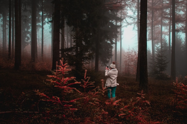 Woman taking picture of tree in forest