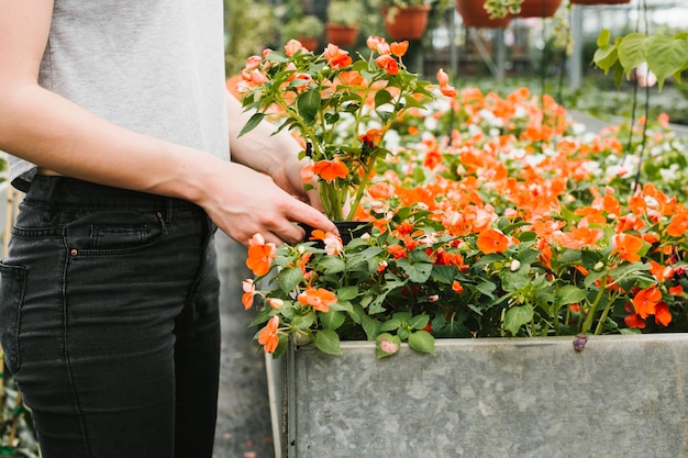 植物を取り出す女性