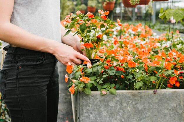 Woman taking a plant out 