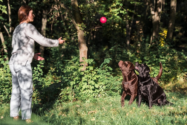 Woman throwing ball for her pets on meadow