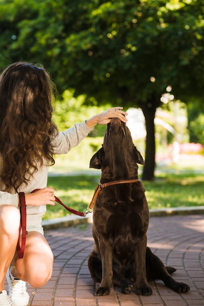 Free photo woman touching dog's mouth in park