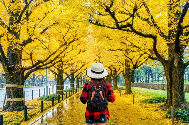 Путешественник женщина с рюкзаком, идущим в ряду желтого дерева гинкго осенью. Осенний парк в Токио, Япония.