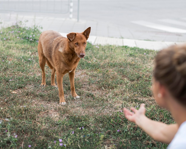Бесплатное фото Женщина пытается вызвать собаку-спасателя в приют для усыновителей