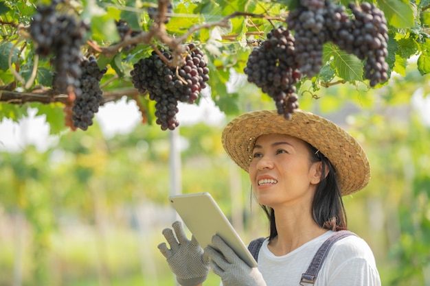 Foto gratuita donna che utilizza la tavoletta di ricerca e studia lo sviluppo.