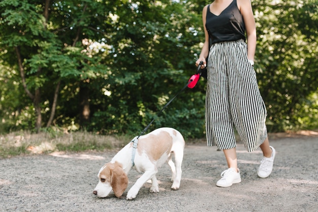 Foto gratuita donna in pantaloni a righe vintage che cammina nel parco mentre il suo animale domestico sta seguendo il sentiero