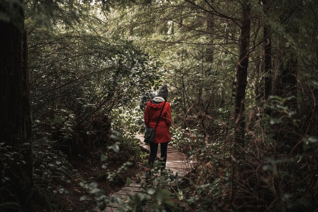 숲에서 산책하는 여자