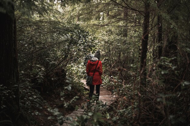 Woman walking in forest